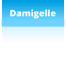 Damigelle